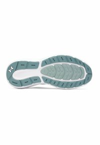 Under Armour ROGUE 5 - Bėgimo batai plentui - serpentine (323)