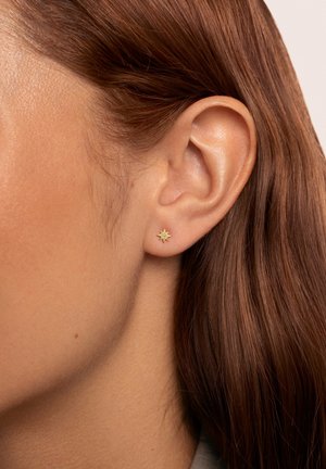 Orecchino a forma di stella dorata con superficie texturizzata e pietra centrale trasparente, indossato all'orecchio di un modello, con capelli castani parzialmente visibili.
