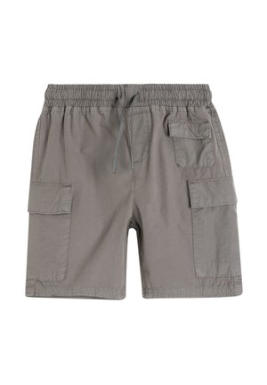 Pantalones cargo - grey