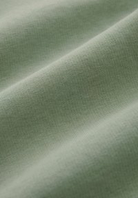 Next GRAPHIC REGULAR FIT - Sudadera - sage green