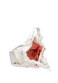 Diana&Co Borsa a mano - white