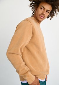 Dickies PLENTYWOOD  - Camisola - brown duck
