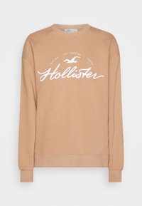 Ljust brunt sweatshirt med långa ärmar, ribbade muddar och halsringning. Har en vit broderad "Hollister"-logotyp och en mås-grafik.