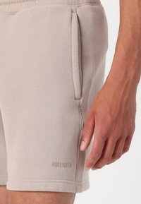Los pantalones cortos de algodón gris claro presentan una textura suave, cinturilla elástica, bolsillos laterales y un detalle del logo "HOLLISTER" cerca del dobladillo.