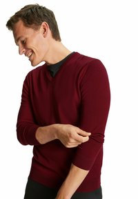Burgunderfarbener V-Ausschnitt-Pullover aus einem weichen Strickmaterial, mit langen Ärmeln und gerippten Bündchen, unterstrichen durch eine schlanke Passform.