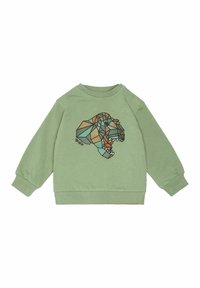 Zeleni dukserica od pamuka s dugim rukavima, s geometrijskom grafikom dinosaura u više boja. Ima kopču na dugme na izrezu.