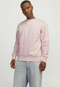 Jack & Jones JORVESTERBRO CREW NECK - Ikdienas džemperis - fairy tale