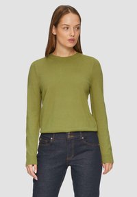 Grüner Pullover mit langen Ärmeln und rundem Halsausschnitt, kombiniert mit dunkelblauen Jeans, die einen Knopfverschluss und kontrastierende Nähte haben. Glatte Textur.