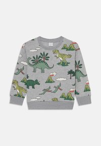 Grauer Sweatshirt mit bunten Dinosaurier- und Berggrafiken, langen Ärmeln und gerippten Bündchen. Aus weichem, dehnbarem Stoff gefertigt.