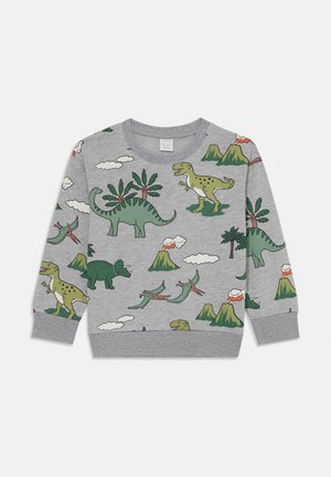 Sudadera gris con gráficos coloridos de dinosaurios y montañas, con mangas largas y puños acanalados. Fabricada en un tejido suave y elástico.