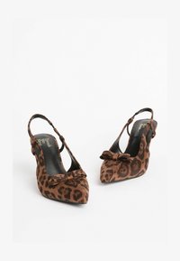 Wybrany, brown leopard