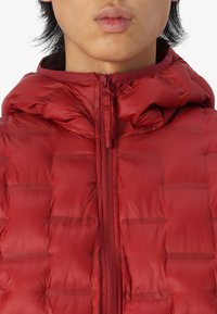Hollister Co. GORP  - Light jacket - merlot