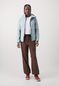Columbia POWDER PASS™ II HYBRID HOODED JACKET - Outdoorjacka - crushed blue/everblue