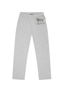 Pantalones de chándal grises con cinturilla elástica y bolsillo lateral, con un estampado gráfico colorido de "Giganotosaurus". Material suave de algodón.