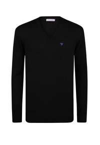 Zwarte gebreide trui met een V-hals, lange mouwen en een klein paars vogellogo op de linkerborst. Gladde textuur, slim fit.