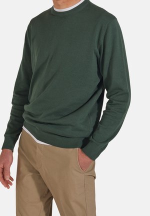 Suéter de algodón verde con cuello redondo y puños y dobladillo acanalados. Llevado sobre pantalones caqui, mostrando una textura suave y un diseño casual.