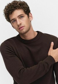 Bruine gebreide crewneck trui met geribde mouwen en halslijn. Het model heeft kort krullend haar en staat met het gezicht naar de camera.