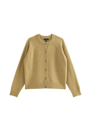 New Look, LIGHT  KNITTED MEET THE JEAN RAGLAN CARDIGAN - Cardigan - light green