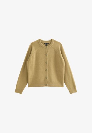 New Look, LIGHT KNITTED MEET THE JEAN RAGLAN CARDIGAN - Vest - light green