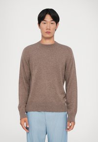 Brun strikket sweater med rund hals og ribbede manchetter; parret med lyseblå stribede bukser. Blød tekstur, minimalistisk design.