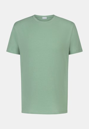 Schlichtes hellgrünes T-Shirt mit kurzen Ärmeln, rundem Ausschnitt, geradem Saum und glatter Stoffstruktur.