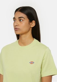 Dickies MAPLETON  - T-shirt basic - pale green