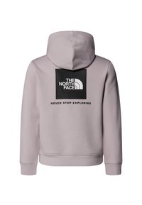 The North Face REGULAR - Sweat à capuche - moonstone grey