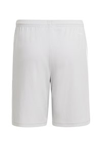 adidas Performance SQUADRA 21 Y - Korte broeken - grauweiss