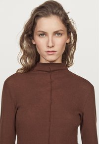 Brown knitted turtleneck sweater with a fitted design, featuring a central seam and a ribbed collar. Smooth texture and long sleeves.
