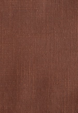 Next, Sakko - rust brown