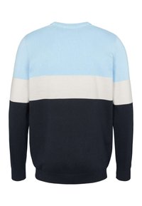 Svetr s dlouhým rukávem s vodorovnými barevnými bloky v světle modré, bílé a tmavě modré barvě zobrazený zezadu.