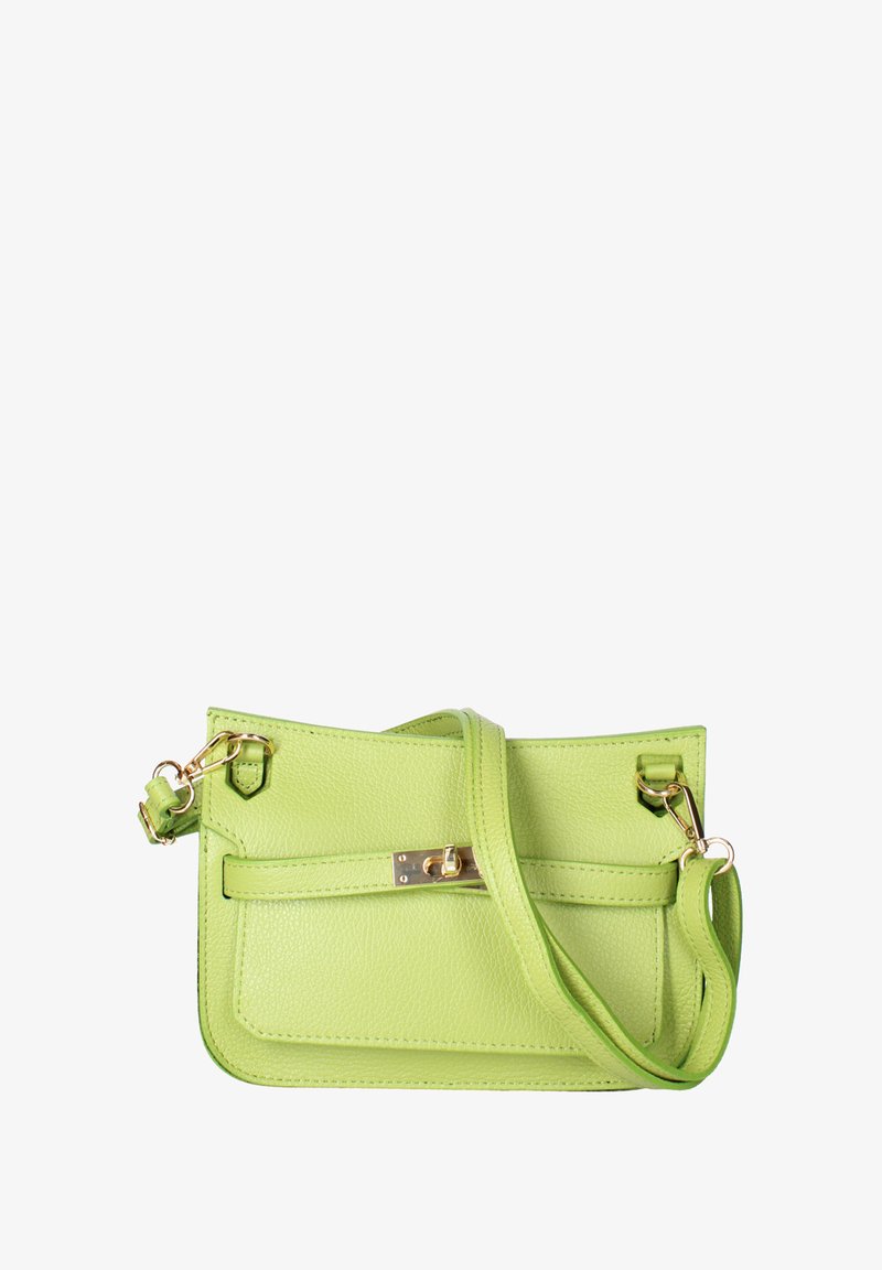 Borsa a tracolla verde in pelle con finitura texture, forma rettangolare, hardware dorato e tracolla removibile. Presenta una tasca frontale.