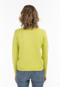 Maglione lavorato a maglia di un brillante verde lime, con maniche lunghe, orlo e polsini a costine, texture liscia e visuale posteriore. Indossato con jeans blu.