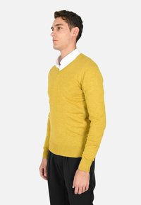 Ciabalù SCOLLO A V - Maglione - senape