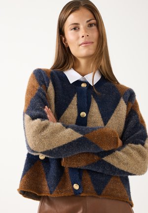 Junge Frau mit langen Haaren, die eine flauschige, geometrisch gemusterte Strickjacke mit goldenen Knöpfen und darunter ein weißes Hemd mit Kragen trägt.