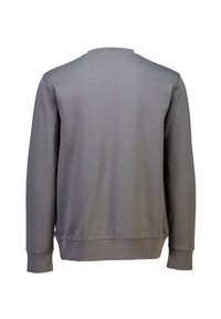 Sudadera gris con cuello redondo, mangas largas, puños y dobladillo acanalados, y una textura suave en la parte trasera. Sin logotipos ni patrones visibles.