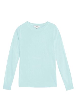 Hellblauer Pullover mit langen Ärmeln aus weichem Material, mit rundem Ausschnitt sowie Rippbündchen an Ärmeln und Saum. Schlichtes, ungeschmücktes Design.