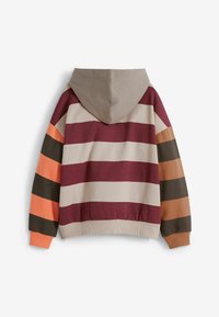 Desigual WITH COMBINED STRIPES - Mikina s kapucňou - multi coloured