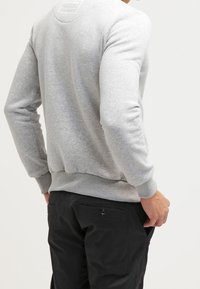 Felpa grigia chiaro a maniche lunghe con colletto rotondo e polsini a costine. Presenta un'etichetta nella parte posteriore del collo.