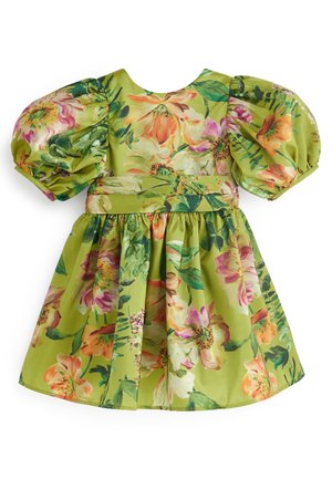 Robe verte avec un grand imprimé floral coloré, manches courtes bouffantes, taille ajustée et jupe froncée, adaptée à un enfant.