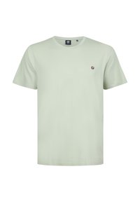 Selectat, desert sage