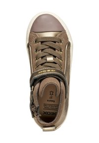 Zapatillas de caña alta marrones con cordones, detalles metálicos y puntera de goma. Presentan una correa de velcro y una textura de tela estampada.