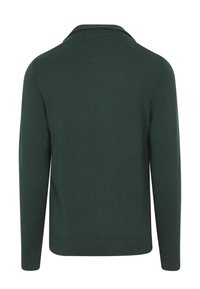 Groene trui met een kraag, lange mouwen, geribbelde manchetten en zoom. Vrouwelijke textuur, eenvoudig ontwerp en geen zichtbare patronen.