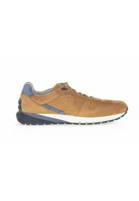 Pius Gabor Sneaker low - deer sky
