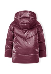 Miniaturna slika 2