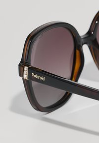 Polaroid Sunglasses - havana
