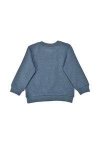 Blauer Baumwollpullover mit langen Ärmeln, gerippten Bündchen und Saum. Einfaches Design, keine Muster oder sichtbaren Akzente. Rückansicht gezeigt.