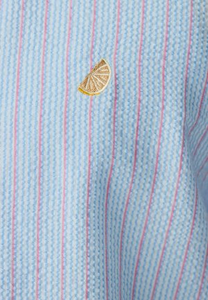 Hele sinine ja valge seersuckri kangas vertikaalsete punaste triipudega ning väikese beebi laimikooriku tikandiga detailiga.