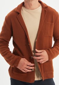 Hnědý pletený kardigan s texturovaným vzorem, se zářezovým límcem, dvěma knoflíky a kapsami. Nosený přes béžovou košili.