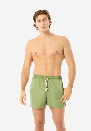Surfshorts - green solid